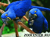 ������ ����, ���, �������, ������ ����� � ���, ������ ��������