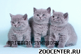 ������� ���������� ������ �� ��������� British Symphony. �����