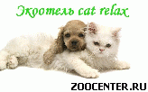 ������������ ��� �����  Cat relaX
