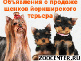 ������� ����� ����� ����������� ������ � ��������