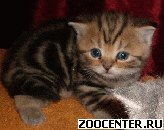 Re: ���������� � ����������� ������