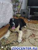 �����