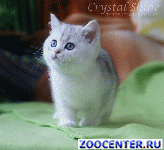 ���������� ��������