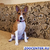 ����� ��������