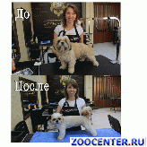 Groomer