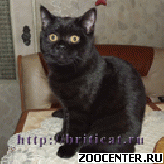 ���������� � ����������� ��������� ������