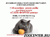 ������������� �������� ����� amp; CATS-����� 2009amp;