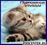 ���������� ��������� ������ �� ��������� VIVIAN