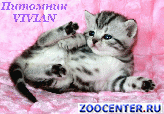 ���������� ������ ������ ������ �� ������� �� VIVIAN