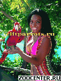 ������� - ��������� ������ ������ �� ����������